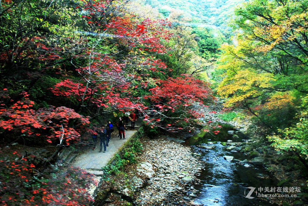 《枫叶初红关门山》