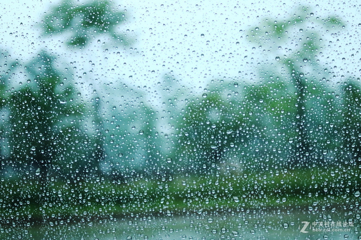 雨一i直下