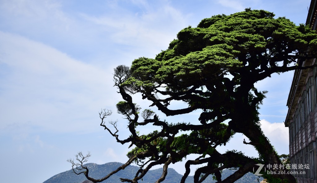 风光旖旎圣堂山