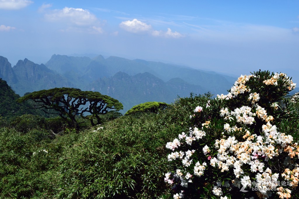 风光旖旎圣堂山