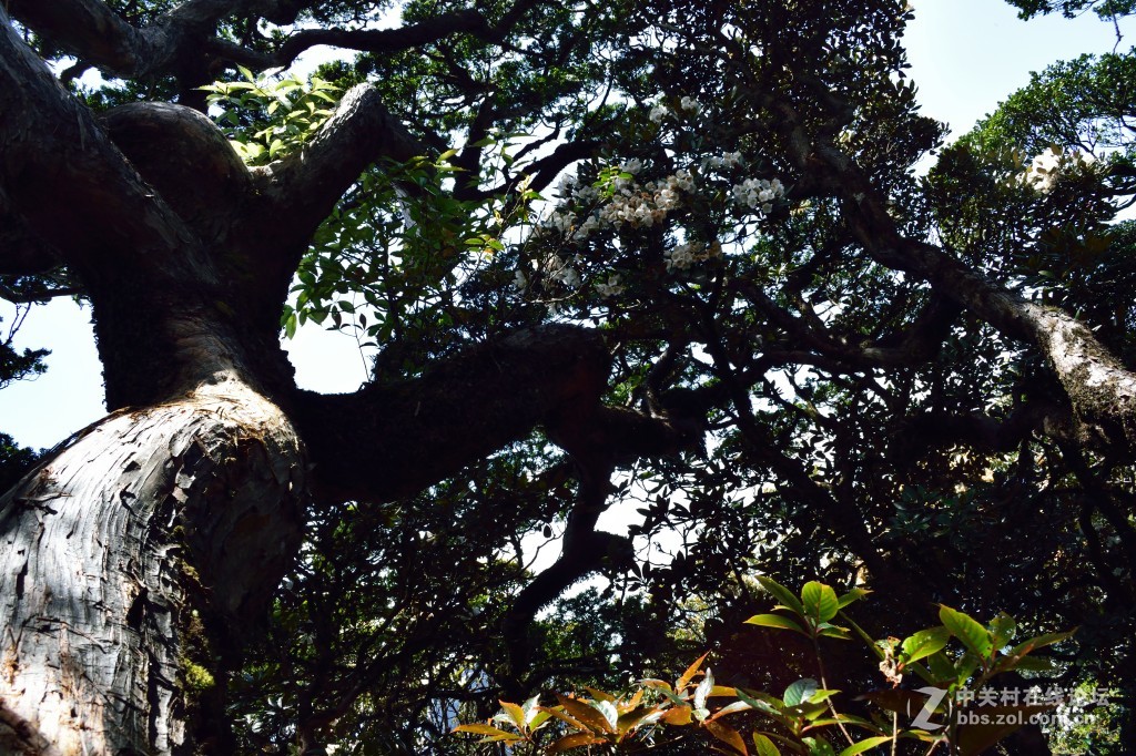 风光旖旎圣堂山
