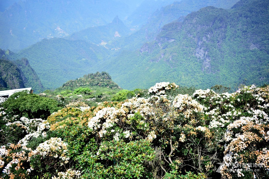 风光旖旎圣堂山