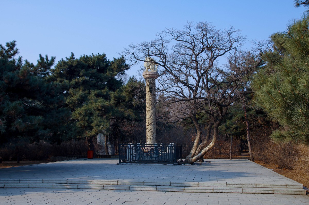 游玩的一组照片，恭贺大家新年好