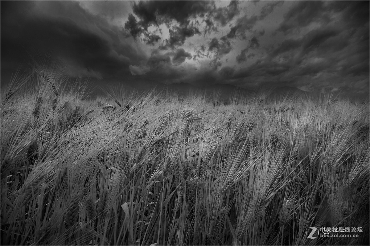 简约风光--一组