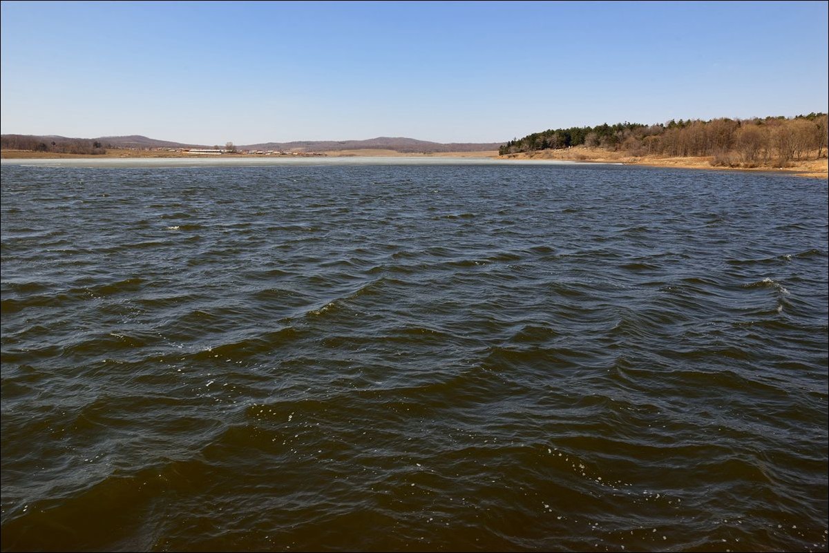 休闲随拍（305）