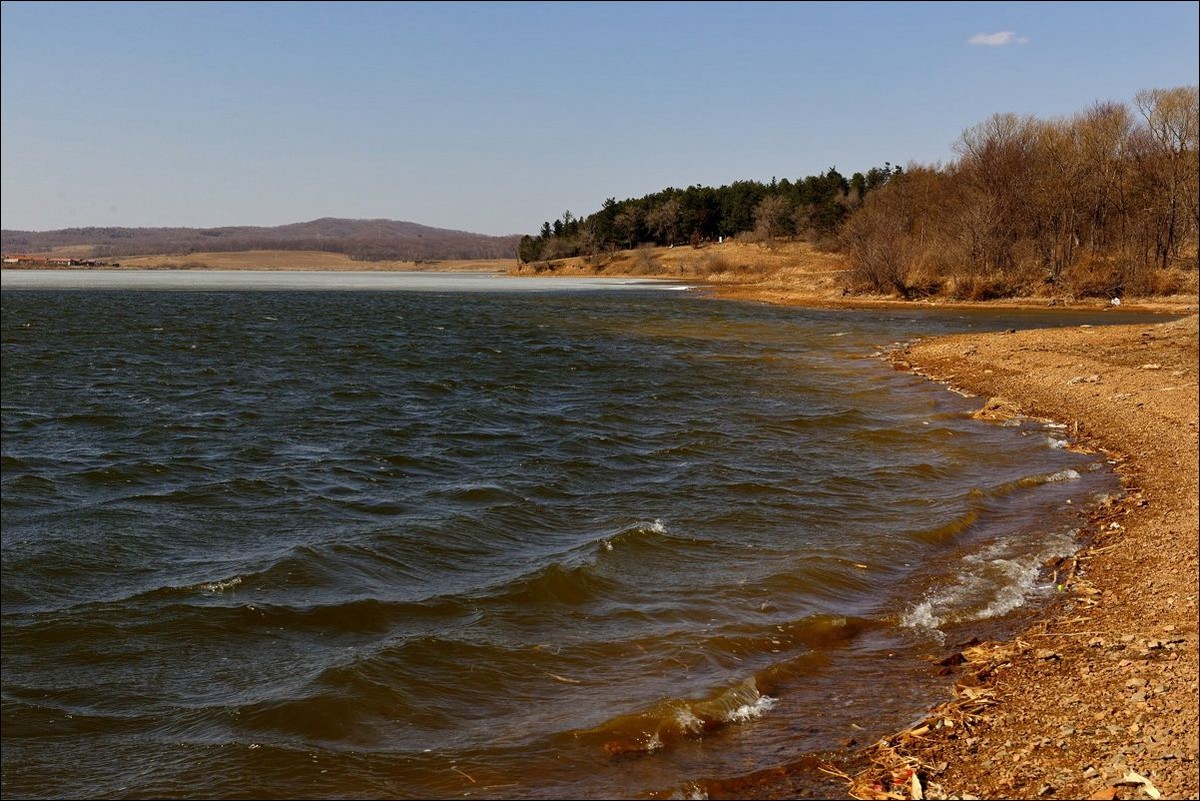 休闲随拍（305）