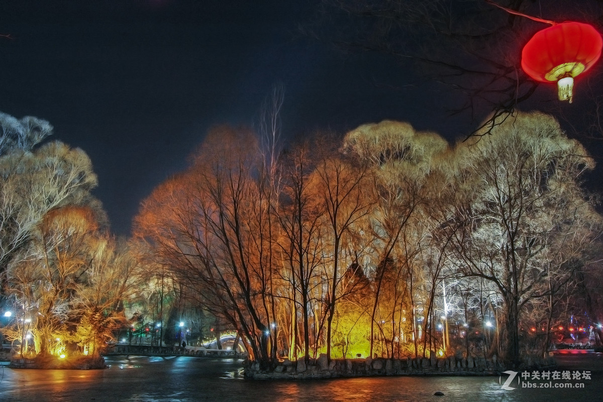 用了十年老尼康D70单反套机（柳湖五彩斑斓）