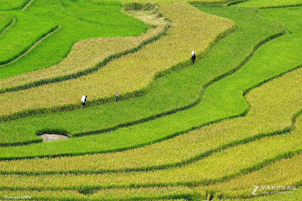 越北