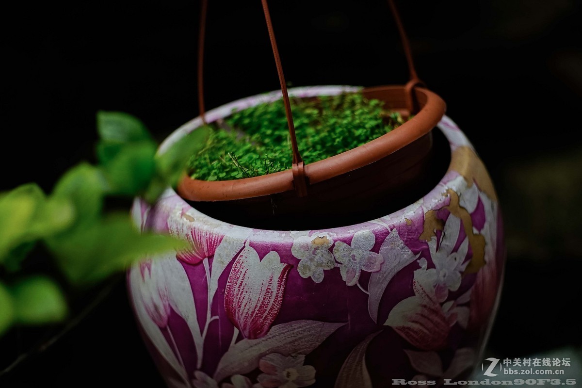 Sｏｎｙ　Ａ７Ｒ＋Ｒｏｓｓ　ｌｏｎｄｏｎ９０F3.5