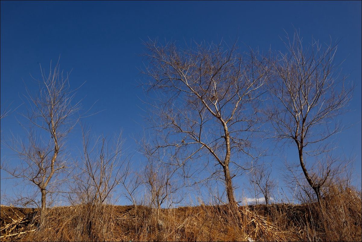 休闲随拍（305）