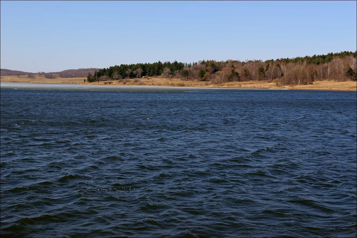 休闲随拍（305）