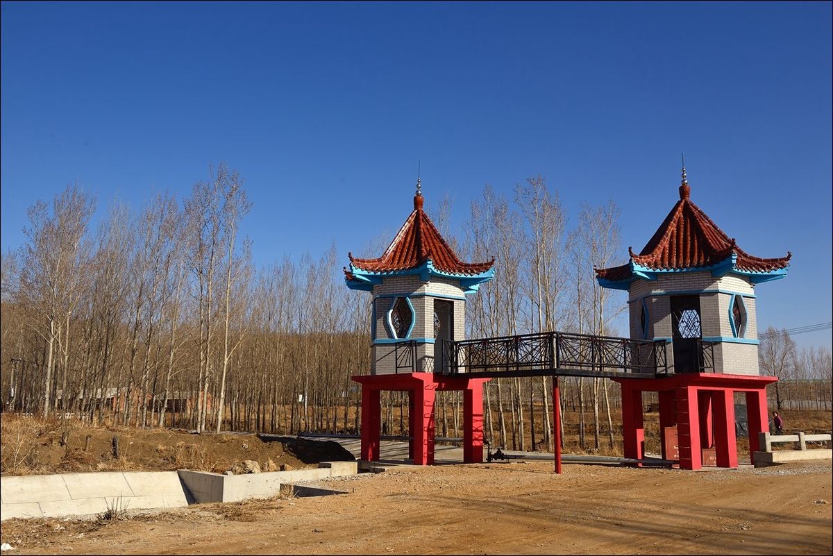 休闲随拍（305）