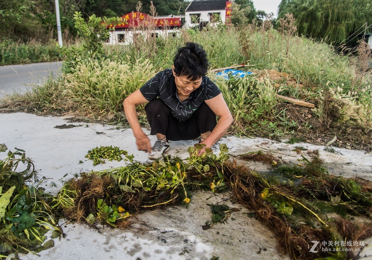 光福行（七）——冲山岛“新四军太湖游击队纪念馆”