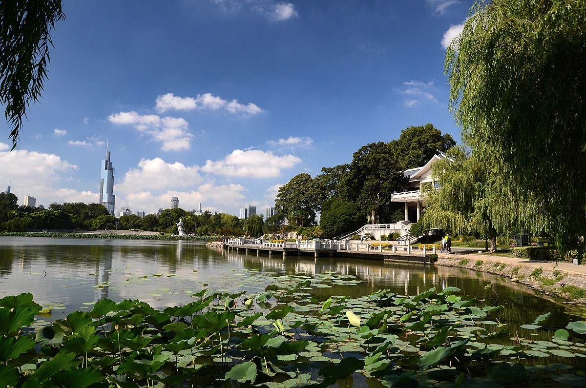 初秋的玄武湖公园芳桥