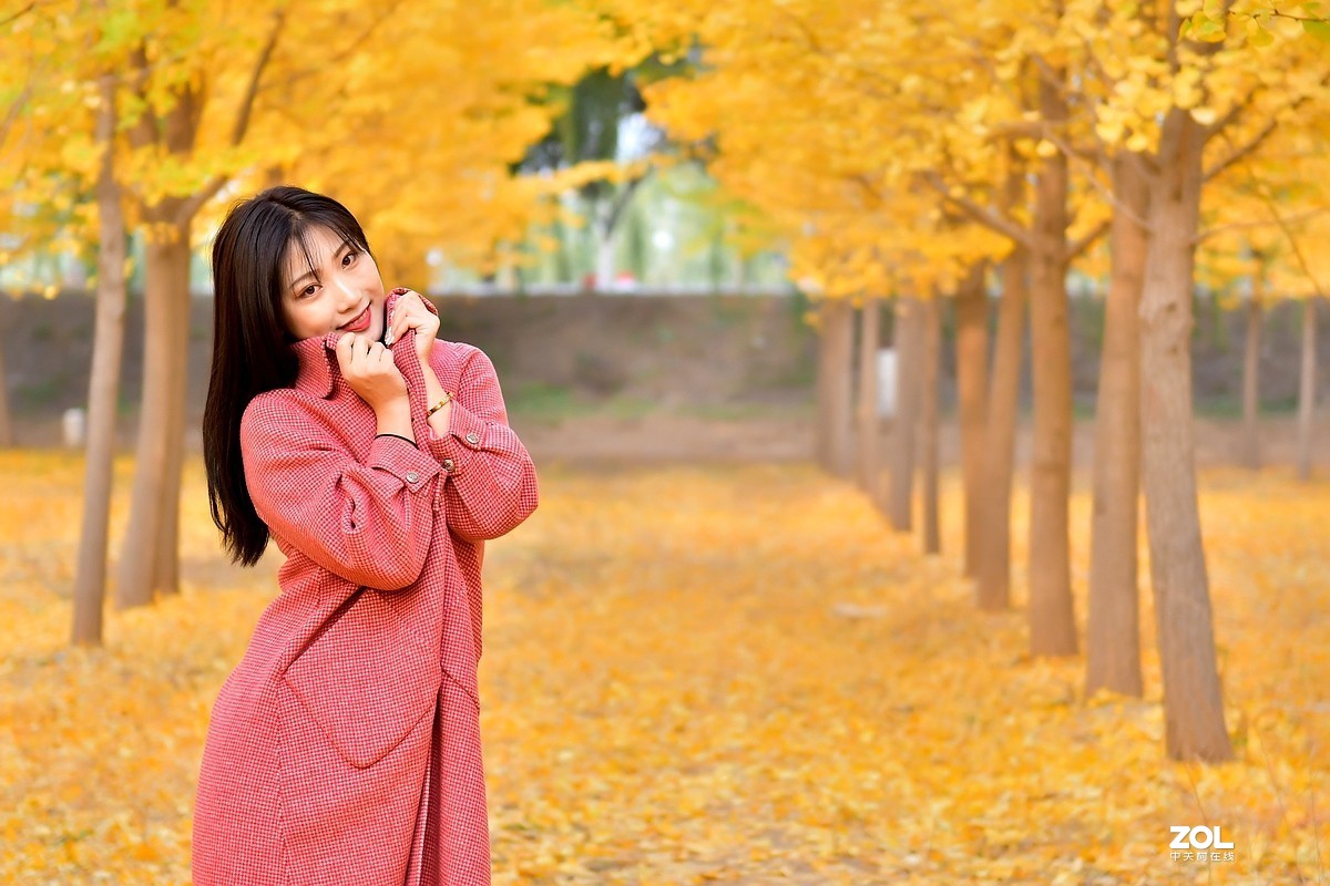 【视觉光影】金秋、银杏、靓模（9）