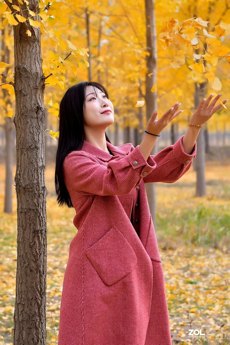 【视觉光影】金秋、银杏、靓模（9）