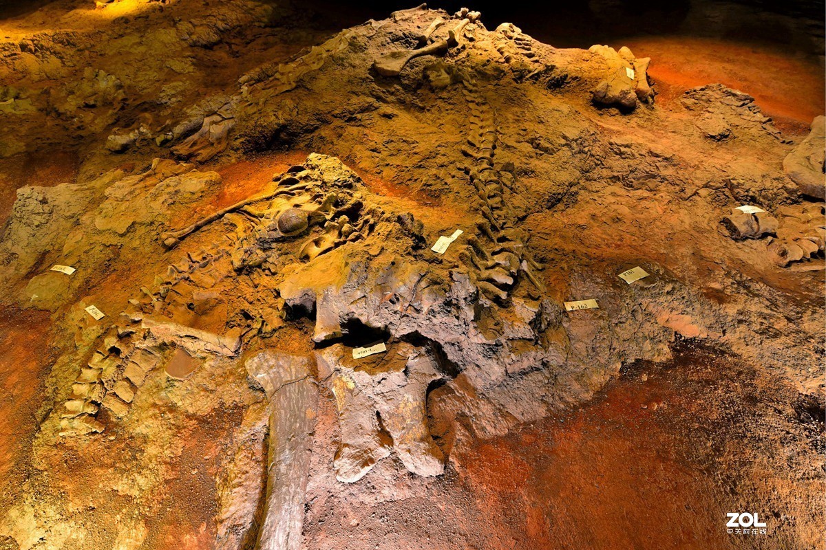 恐龙遗址公园3恐龙化石骨骼恐龙