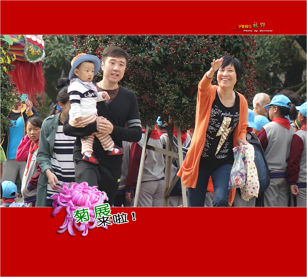 【我的视野】★ 菊展来啦！ ★