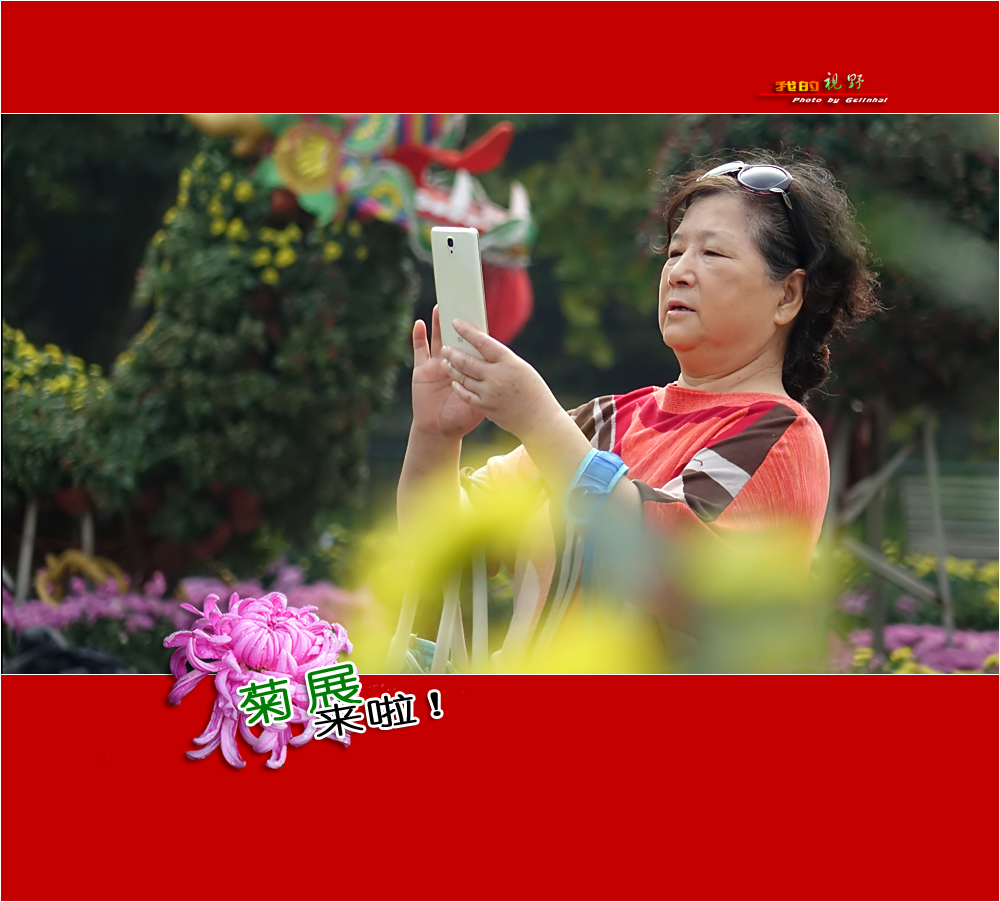 【我的视野】★ 菊展来啦！ ★