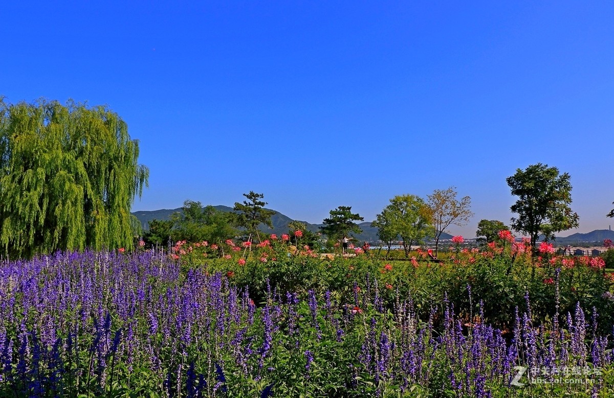 西山森林公园印象