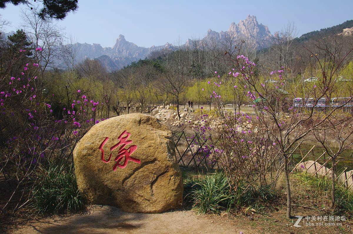 『春来飞红』123...13p