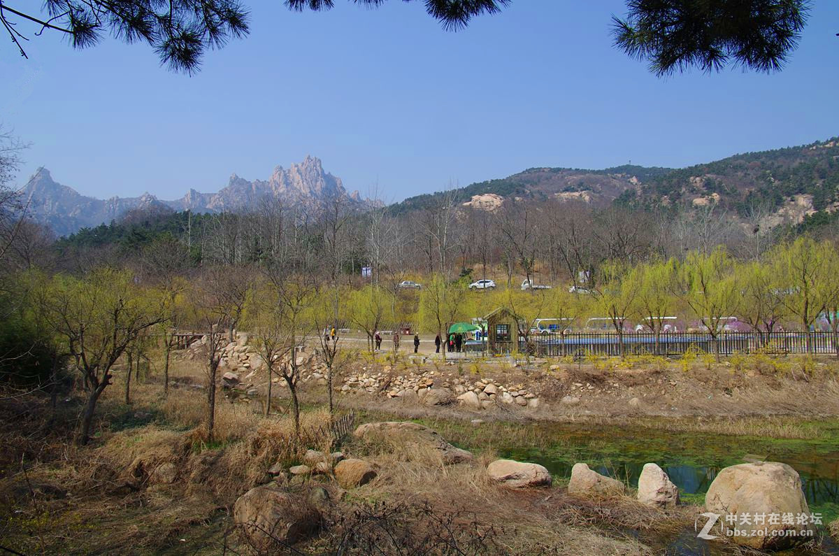 『春来飞红』123...13p