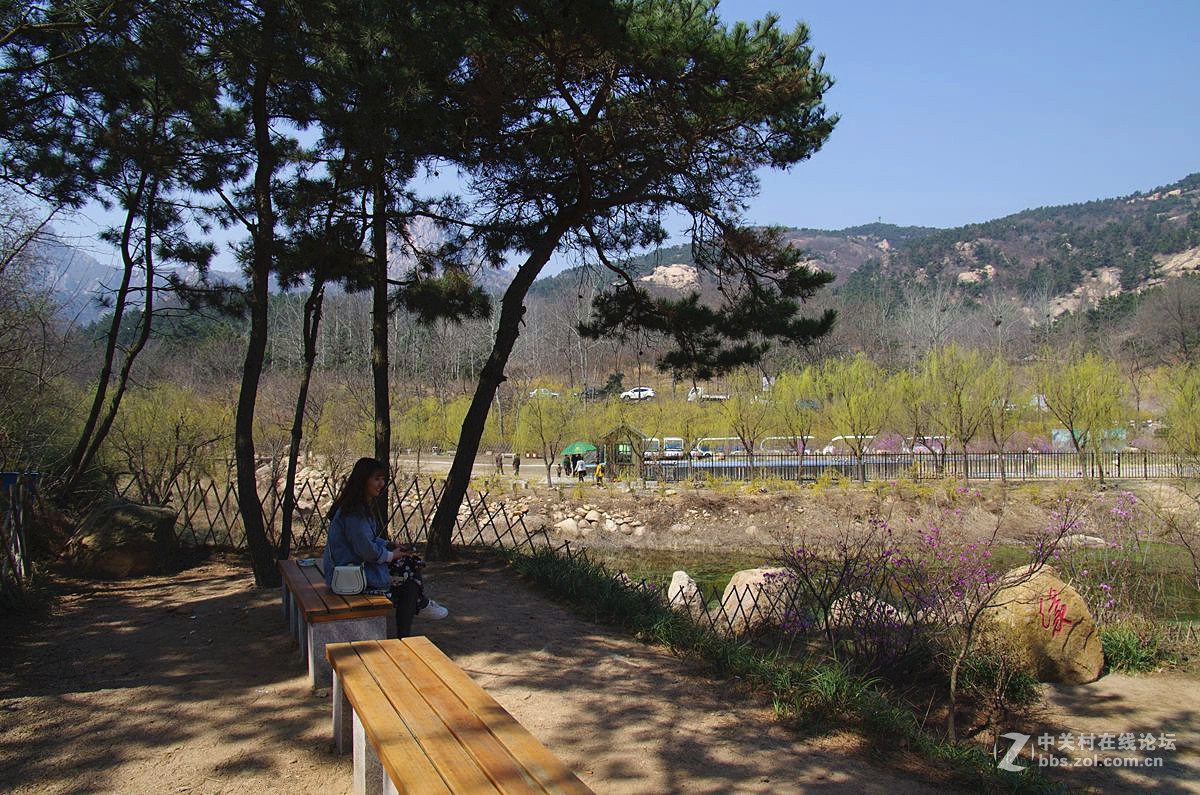 『春来飞红』123...13p