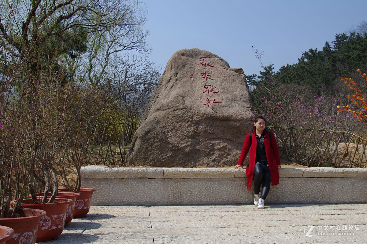 『春来飞红』123...13p