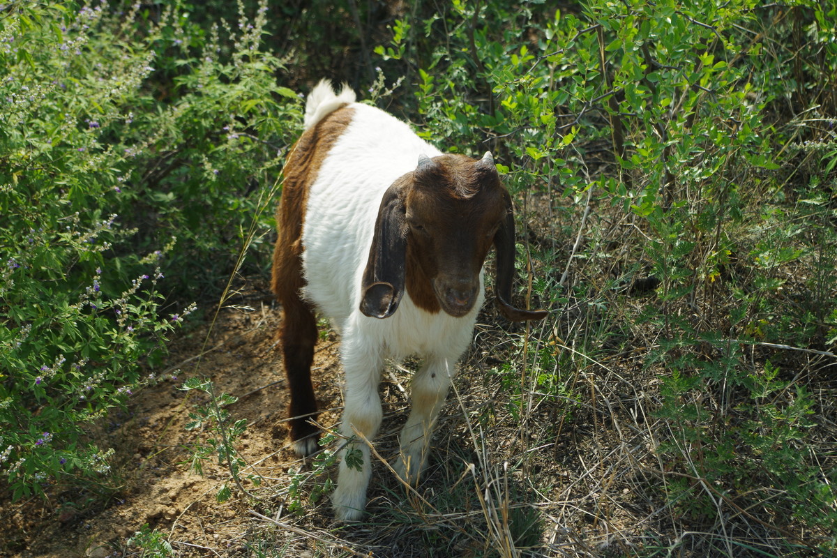 活跃星空(中国)