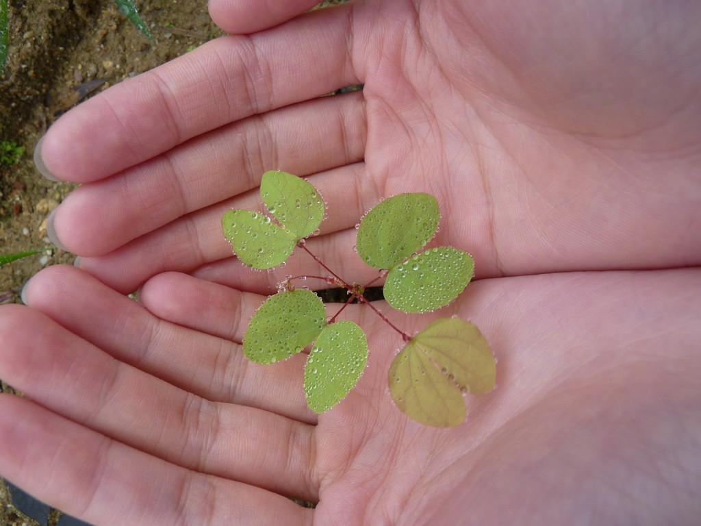 200元买了个二手FZ35，感觉还不错。还有漂亮妹纸