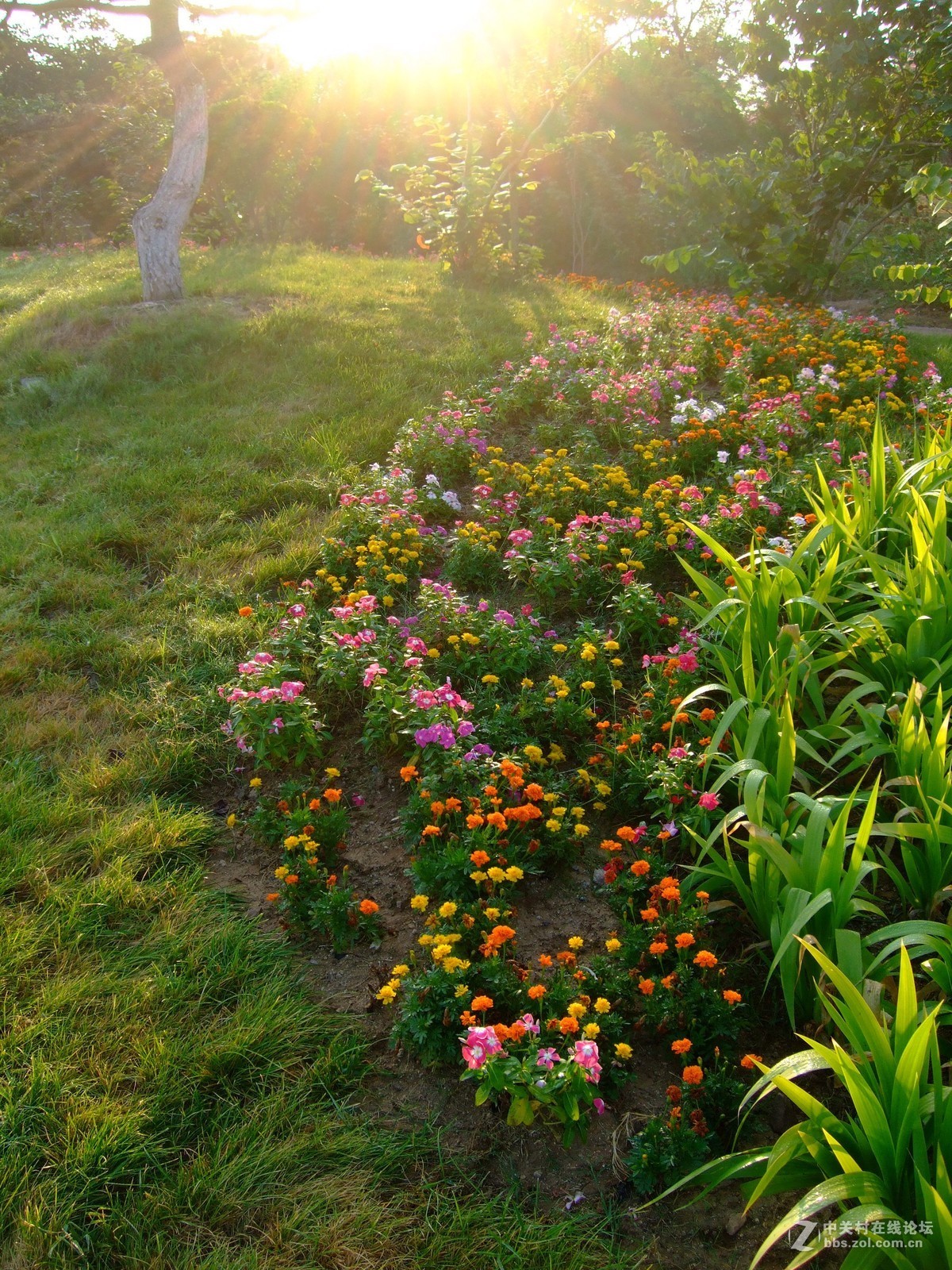 《拍花是个好主意》