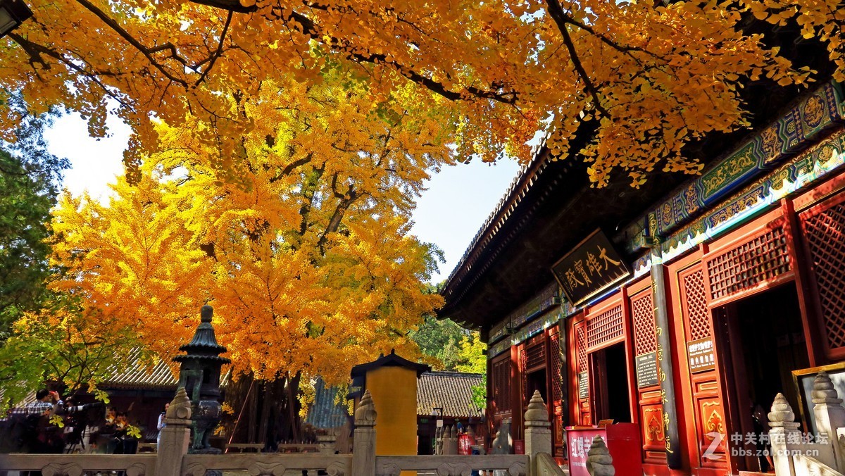 秋色北京------ 红  螺  寺