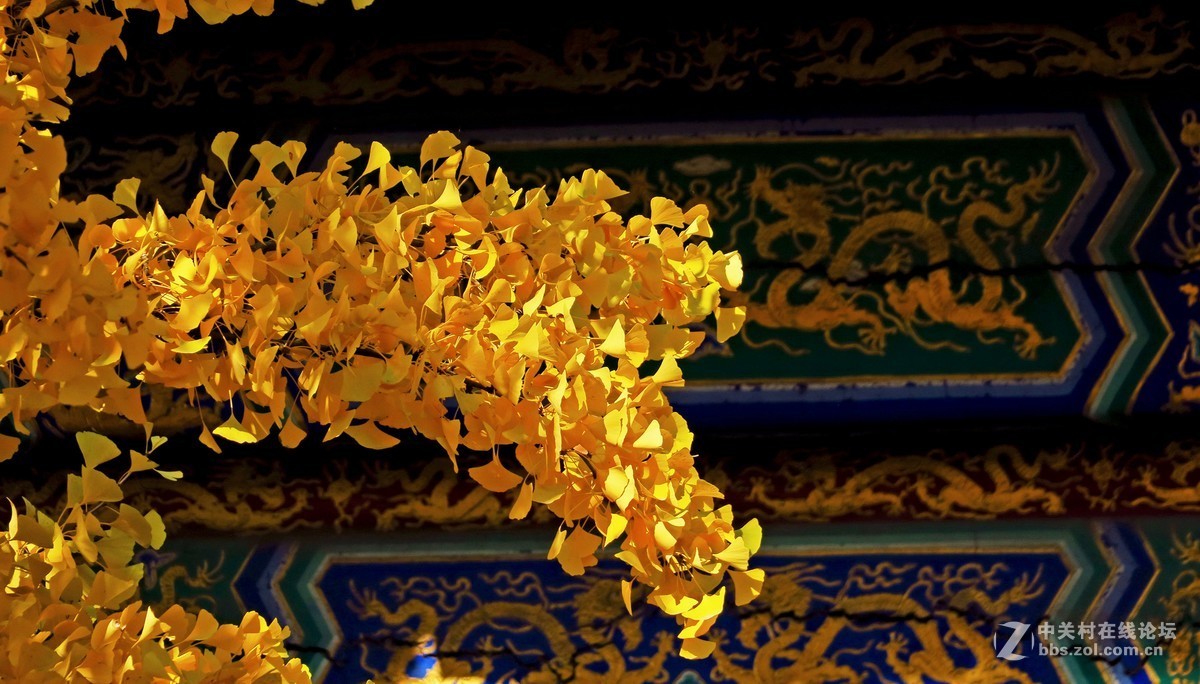 秋色北京------ 红  螺  寺