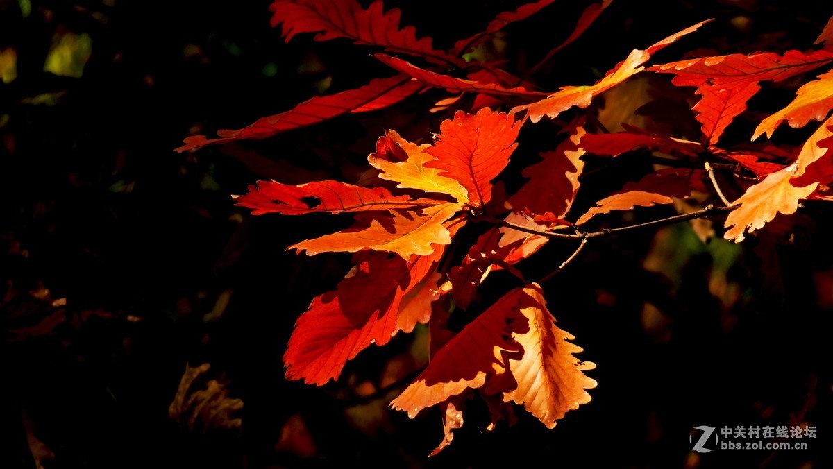 秋色北京------ 红  螺  寺