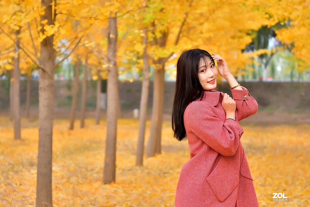 【视觉光影】金秋、银杏、靓模（9）