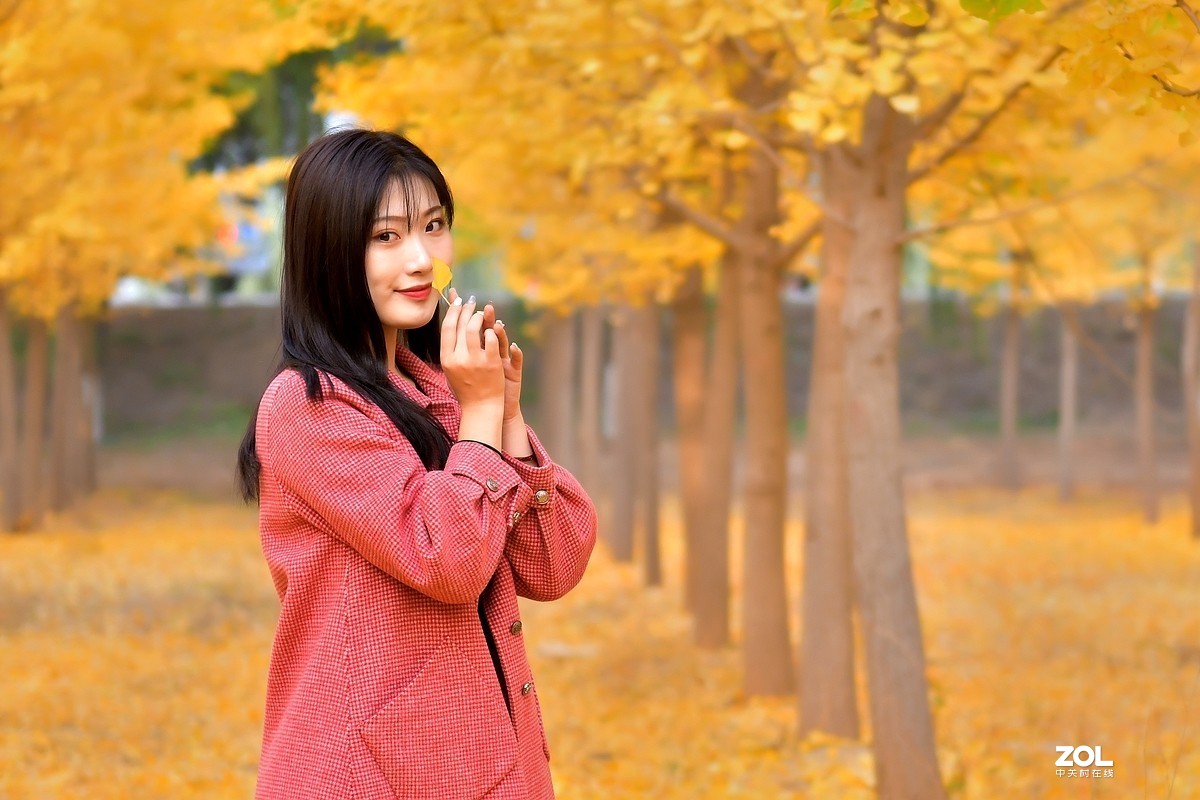 【视觉光影】金秋、银杏、靓模（9）