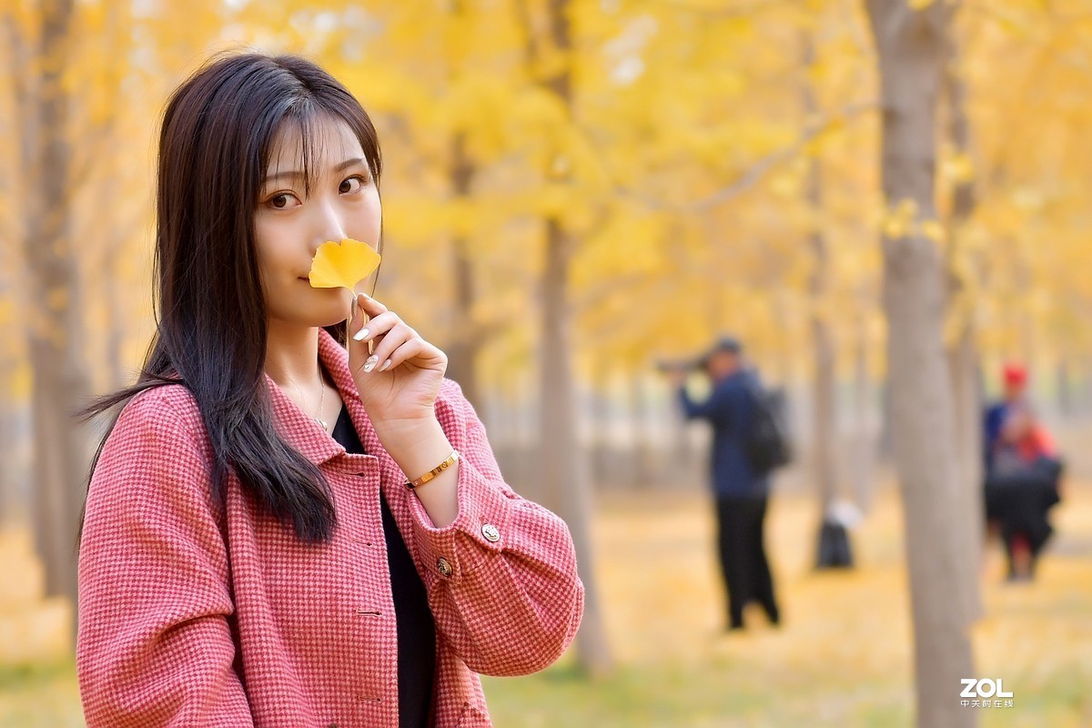 【视觉光影】金秋、银杏、靓模（9）