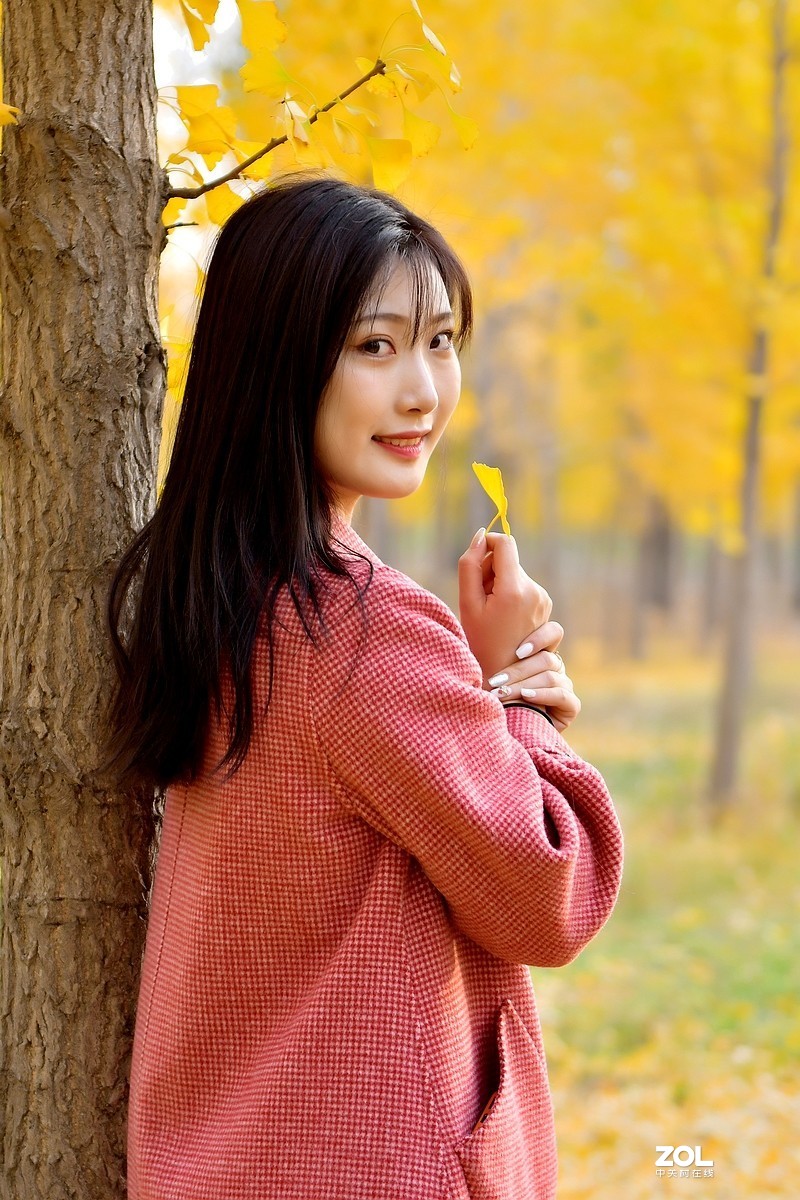 【视觉光影】金秋、银杏、靓模（9）