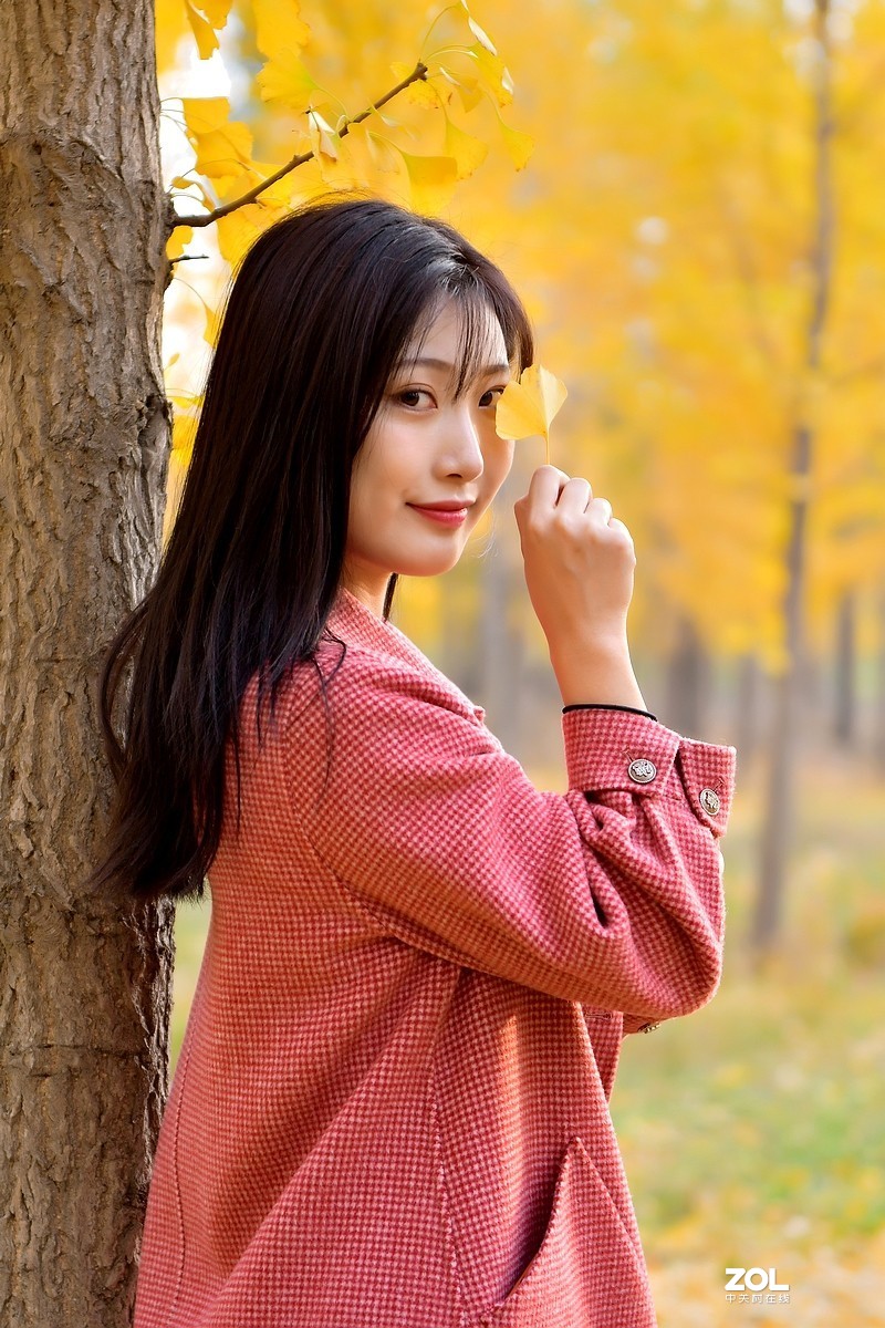 【视觉光影】金秋、银杏、靓模（9）