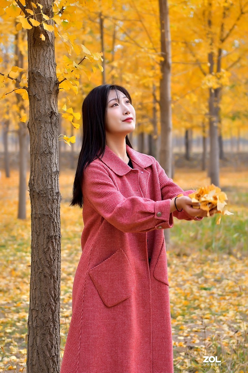 【视觉光影】金秋、银杏、靓模（9）