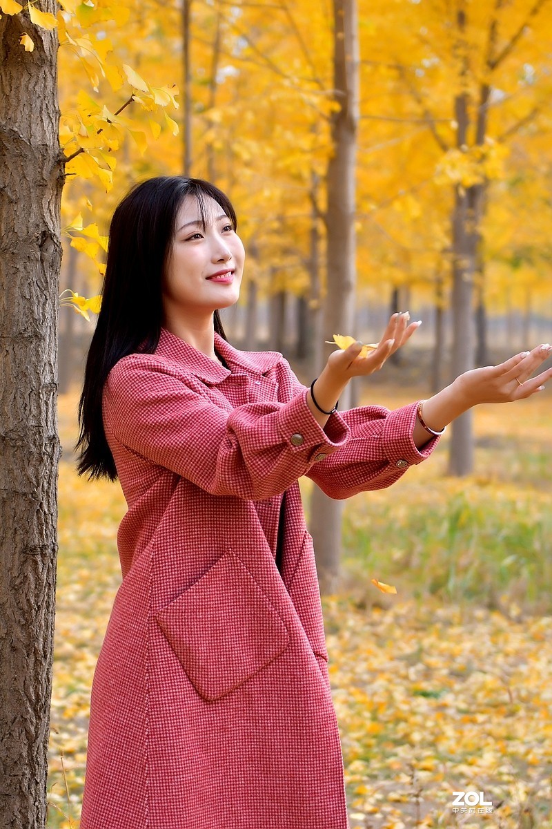 【视觉光影】金秋、银杏、靓模（9）