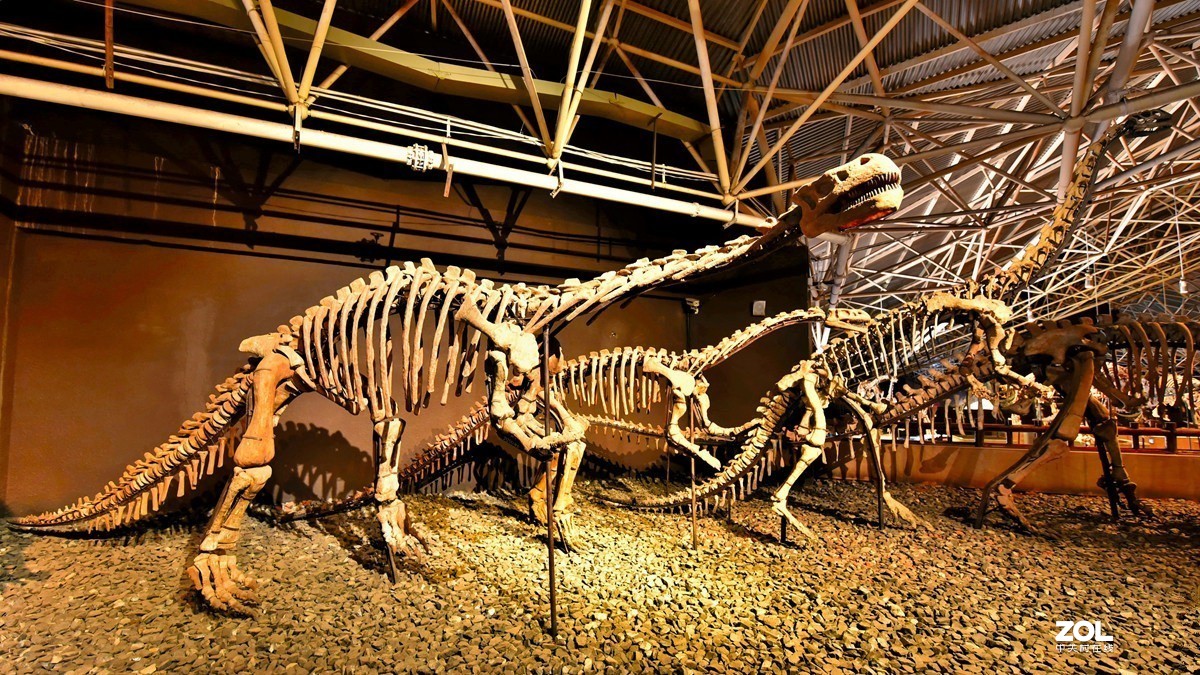 恐龙遗址公园3恐龙化石骨骼恐龙