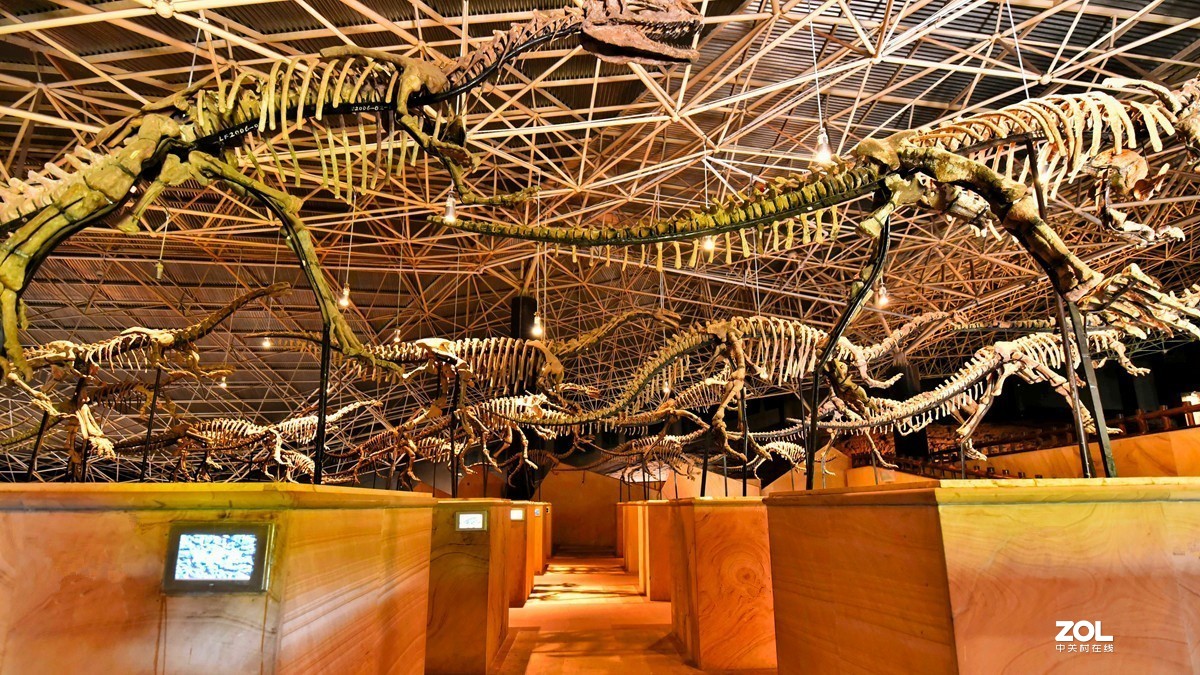 恐龙遗址公园3恐龙化石骨骼恐龙