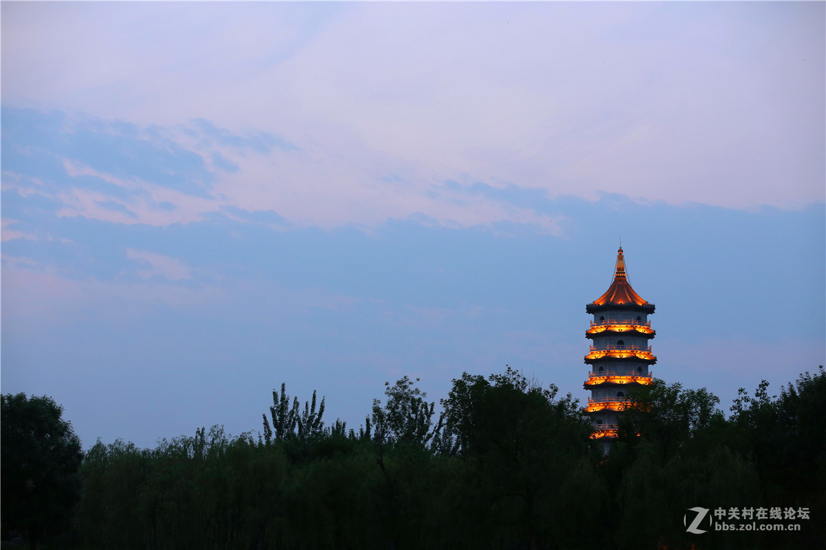 北宁公园的荷花