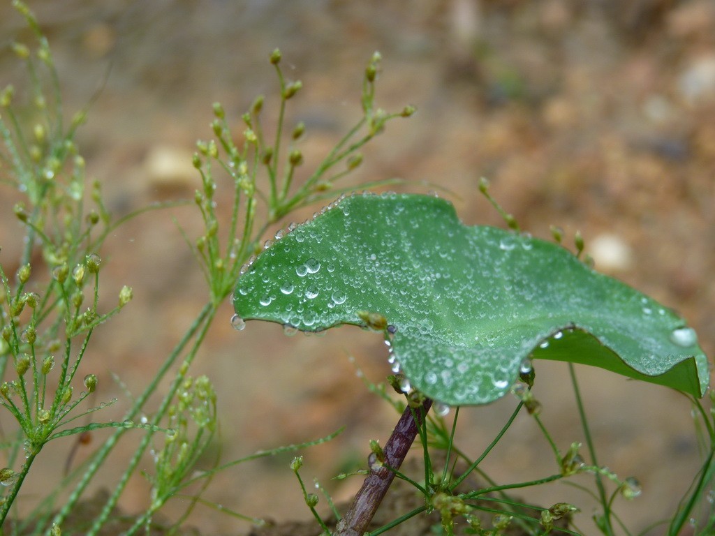 200元买了个二手FZ35，感觉还不错。还有漂亮妹纸