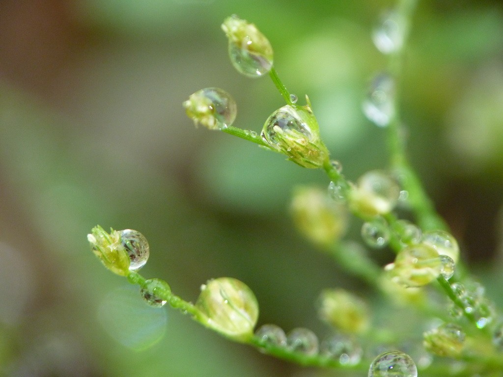 200元买了个二手FZ35，感觉还不错。还有漂亮妹纸