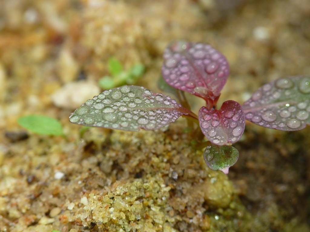 200元买了个二手FZ35，感觉还不错。还有漂亮妹纸