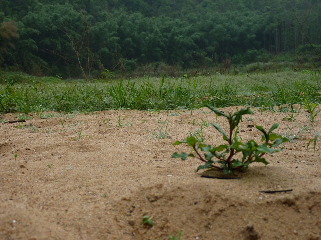 200元买了个二手FZ35，感觉还不错。还有漂亮妹纸