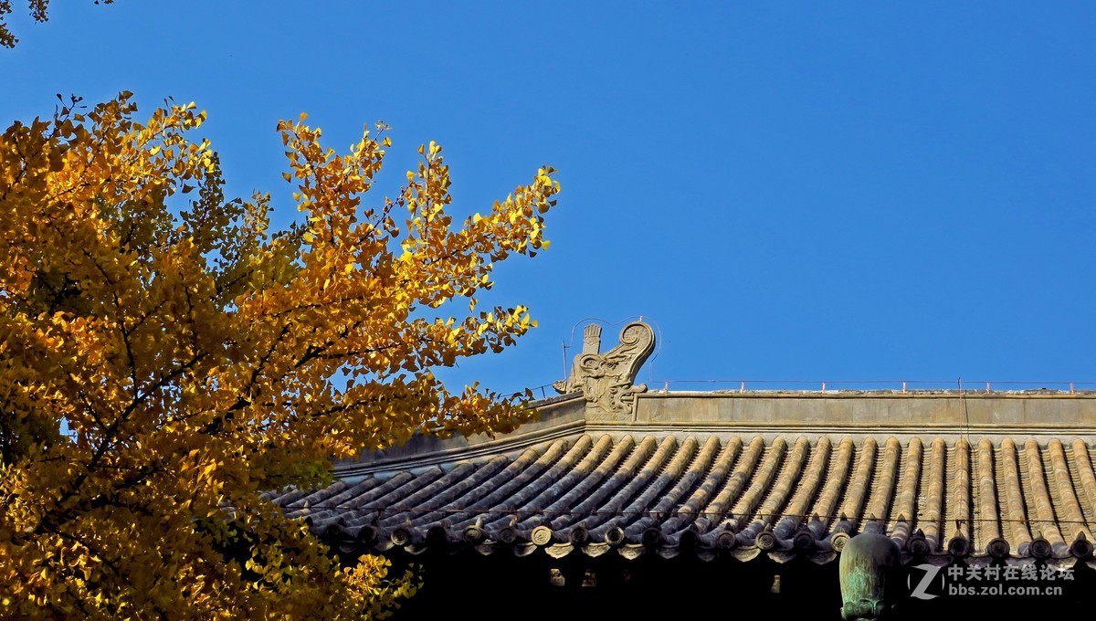 秋色北京------ 红  螺  寺