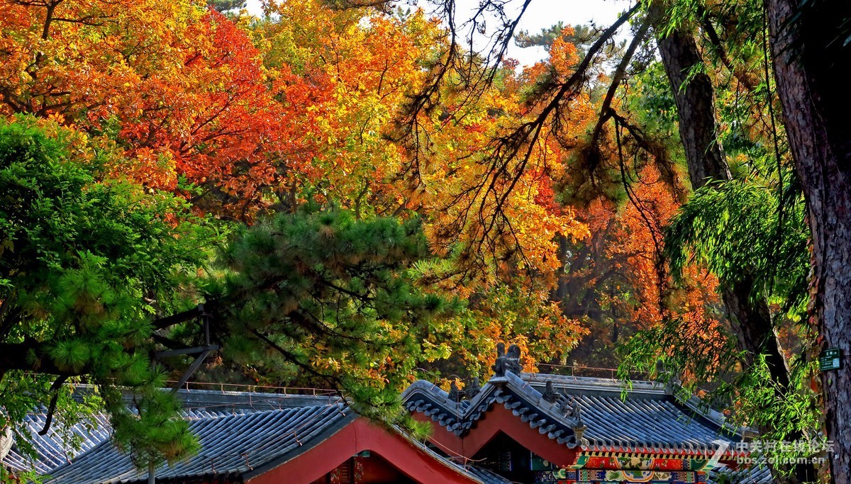 秋色北京------ 红  螺  寺